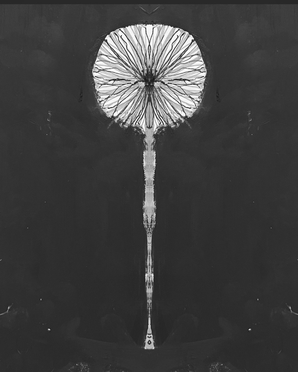 A Space Dandelion in a Dark Cave on Galaxy GDH 11110000051111100005