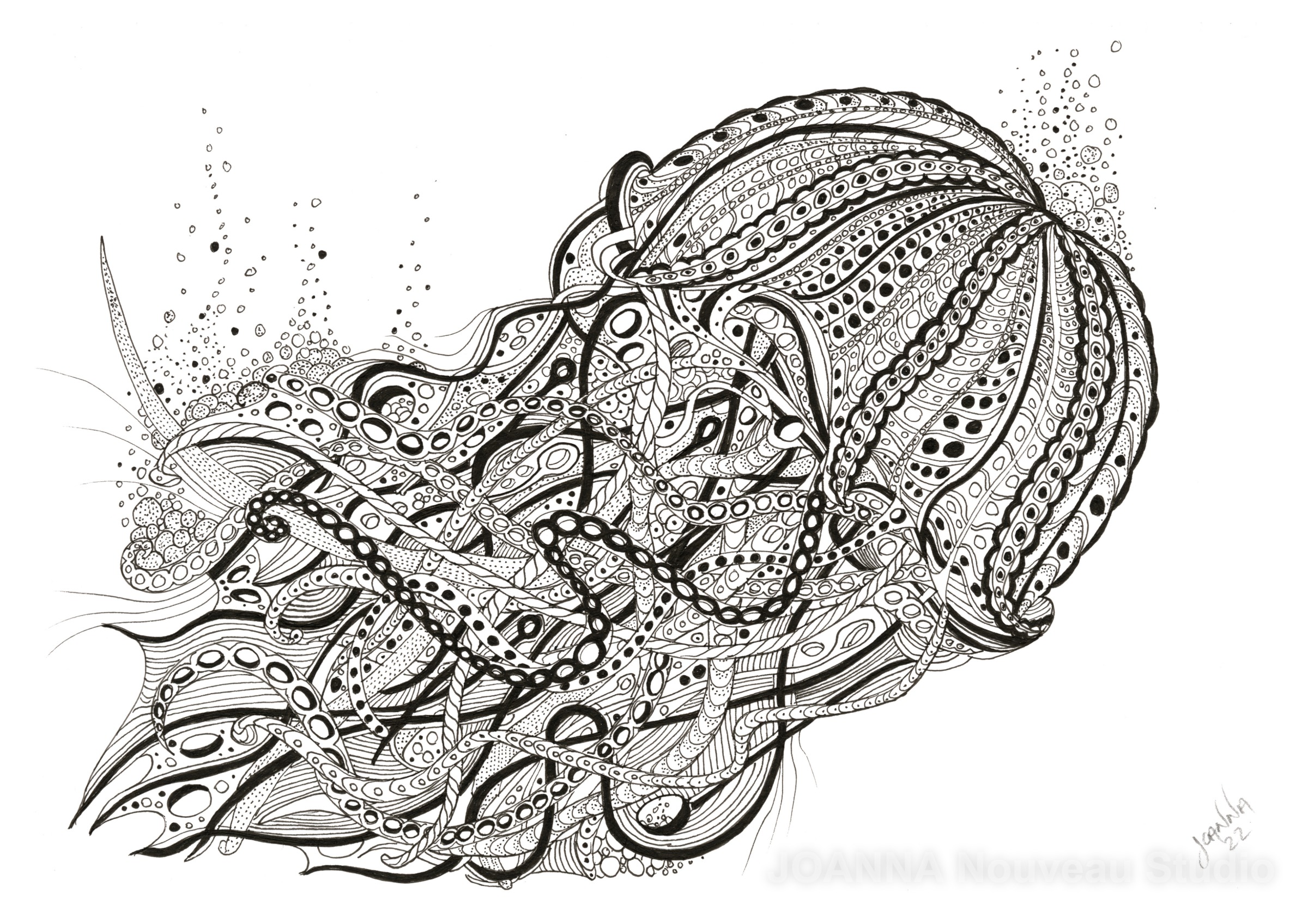 Jellyfish